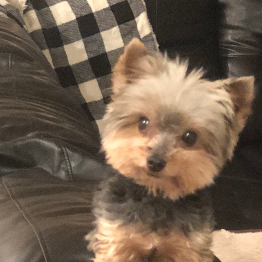 Meet your Posher, April